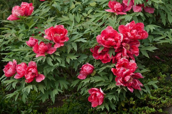 Top vitrier services à lausanne pour vitrage et dépannage rapide