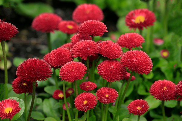 Découvrez comment choisir des stores sur mesure pour votre extérieur